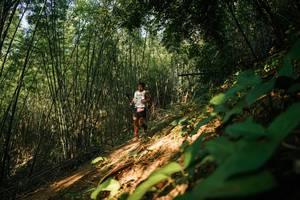 BIB: 
                            <button type="button" onclick="openModal(28141286)" class="btn btn-primary btn-sm float-right btn-popup" data-toggle="modal" data-target=".modal-high-quality">
                        <i class="fas fa-shopping-cart"></i> Add to Cart
                    </button>
                                            <button type="button" onclick="isThisMe(28141286, true)" class="btn btn-success btn-sm float-right btn-popup btn-isme hidden" data-toggle="tooltip" data-placement="bottom" title="นี่คือรูปของคุณใช่ไหม คลิกที่นี่เพื่อเอาเข้าอัลบั้ม">
                        <i class="fas fa-plus"></i> Add to album
                    </button>
                    <button type="button" onclick="isThisMe(28141286, false)" class="btn btn-warning btn-sm float-right btn-popup btn-isnotme hidden">
                        <i class="fas fa-ban"></i> Remove from album
                    </button>